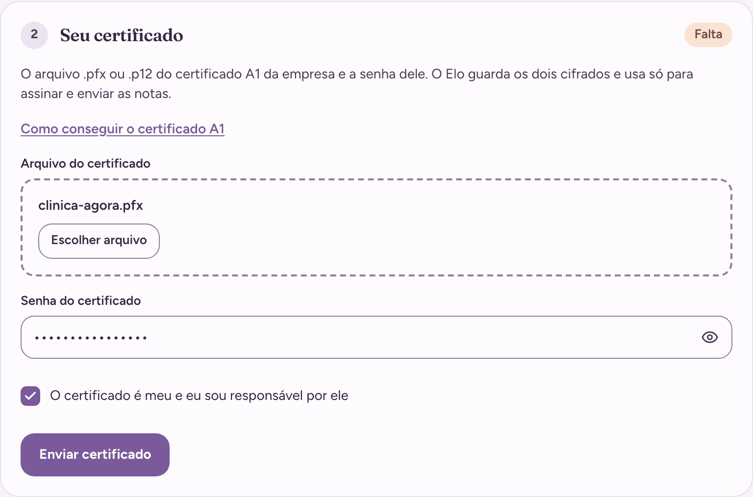 Passo “Seu certificado” com o arquivo .pfx escolhido, a senha digitada e marcada a caixa “O certificado é meu e eu sou responsável por ele”.